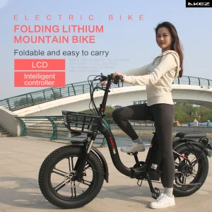 Folding Fat Tire E-Bike