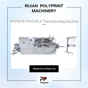 PP Cup Lid Positive and Negative Pressure Forming Machine