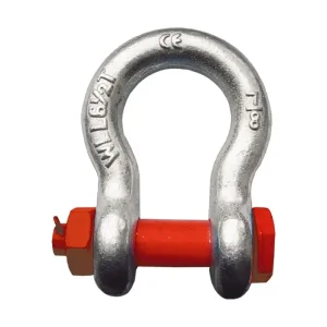Lifting Shackles