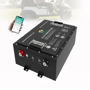 OEM 51.2V 160Ah Lithium Golf Cart Battery