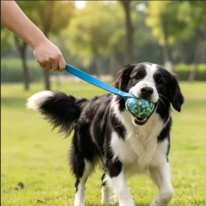 EVA Tug Toy