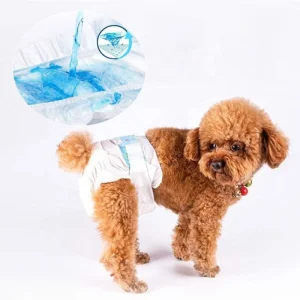 Custom Disposable Dog Diaper