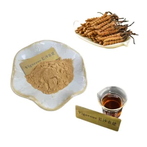 Factory Supply Pure Free Sample Food Additive Mushroom Extract Cordycepin Cordyceps Sinensis Cordyceps Militaris Extract Powder