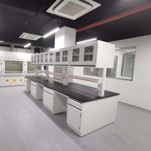 New Modern Design Hot Sales High Quality Useful Customizable Simple Laboratory Furniture Lab Side Lab Table Bench