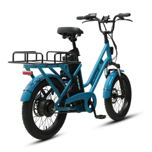 TXED Last Mile Delivery Electric Cargo Bike