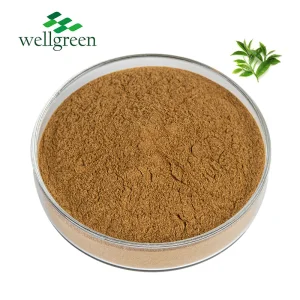 Supplement Use Green Tea Extract Powder EGCG 98% Polyphenols