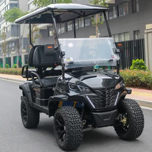 Gas Powered Golf Carts Electric Hunting Buggy