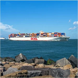 Provide Qingdao Export Customs Clearance Services