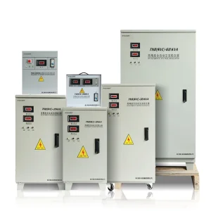 Single Phase SVC Servo Automatic Voltage Stabilizer