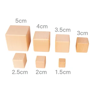 Wooden Montessori Baby Blocks Natural Beech Wood Cubes Toy Set