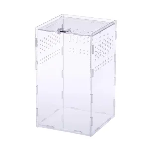 Acrylic Reptile Breeding Box