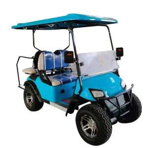 Electric Mini Golf Cart for Adults Fast &amp; Efficient with 48V Battery