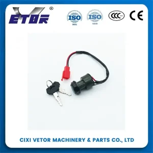 China Good quality motorcycle start key for TVS-King Suppliers, Exporters