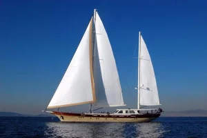 Top Quality Different Size and Shape Sailing Boat for Sale