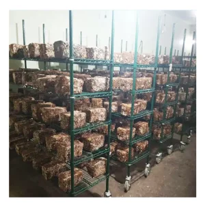 Hot Selling Nsf Approval Green Epoxy Wire Mushroom Growing Shelving