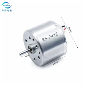 Electric 12V/24V Brushless DC Motor