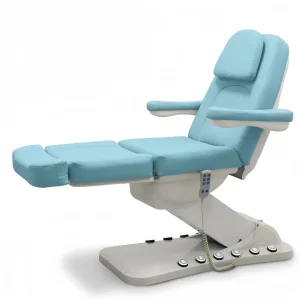 Modern Electric Facial Bed