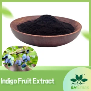 Premium Plant Extract Indigo Anthocyanins Extract 5%-25% for Health Benefits