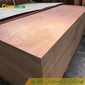 High Quality Plywood