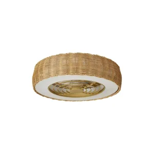 Modern Low Profile Farmhouse Fan