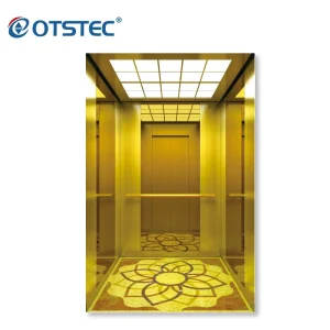 Otstec Standard Residential Elevator for Home Customized 4-8 Persons Passenger Lift