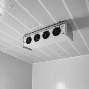 Best Factory 20FT 40FT Commercial Supermarket Standard Industrial Negative Low Temperature Freezer Cold Storage Room