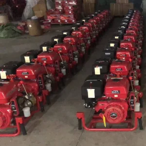 Cheap Gasoline Fire Water Pump Wp30 High Pressure for Agricultural and Emergency Use