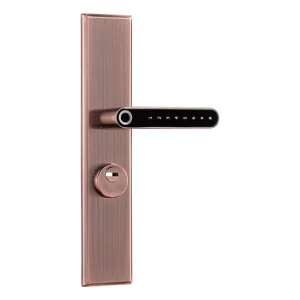 Combination Fingerprint Magnetic Safe Door Hardware Handle Smart Electronic Lock