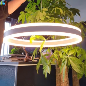 D1200mm 47" Commercial 3 Ring Light Up Down LED Circular Pendant Light