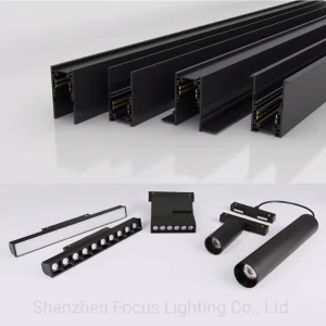 Magnetic Track Light