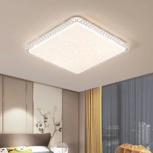 Square Ceiling Light