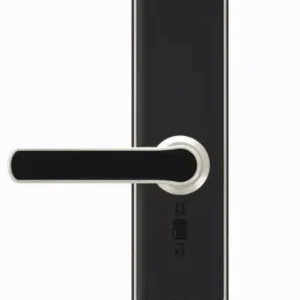 Digital Card Combination Door Handle Smart Lock Hardware Black and White