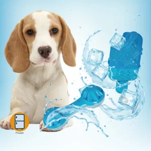 Dog Summer Frozen TPR with water injection hole clean and grind the teeth Cooling Toy