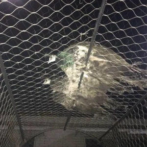 Eagle Stainless Steel Garden Balcony Railing Stair Flexible Safety Woven Fence Barrier Raptor Aviary Zoo Cages Protection Enclosure Wire Rope Cable Netting Mesh