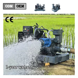 Fixed Dewatering Pump