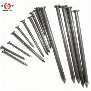 Galvanized Long/Short Common Nail for Hanging Garden Building