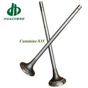 Heavy Truck Intake Valve