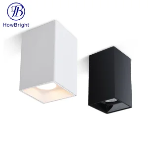 Decorative Ceiling Lamp