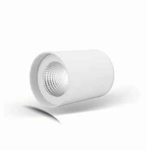 IP65 LED Downlight