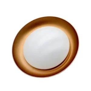 LED Ceiling Lights 3CCT 15W 20W 25W Indoor LED Flush Mounted Modern