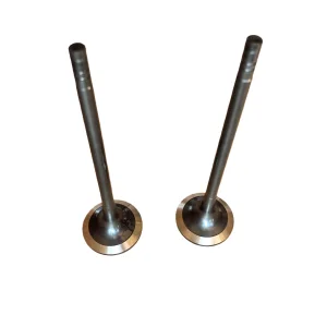 Mitsubishi Heavy Industries S6r, S12r, S16r, S6r2, S12r2, S16r2 Engine Intake and Exhaust Valves Set 32504-30100