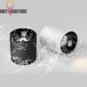 Outdoor Ceiling Light