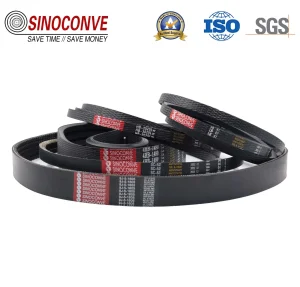 Motorcycle Belt