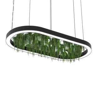 Modern Oval Ring LED Chandelier
