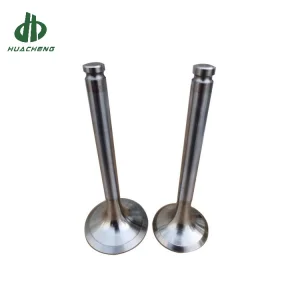 Benz Engine Valve