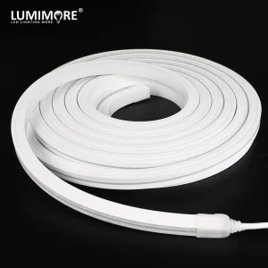 IP68 Neon Facade Lighting