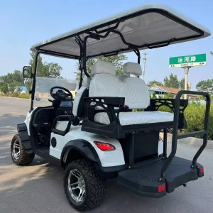 Electric Club Car Golf Cart