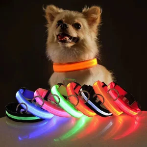 Coleira de Cão LED à Prova d'Água