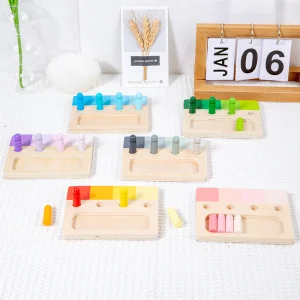 Kids Montessori Color Matching Board