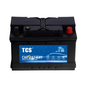 Custom Logo Car Battery